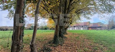 Terrain - 15 000 m²