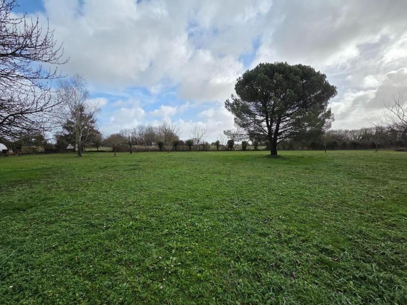 Maison de campagne - 160 m² - 6 pièces