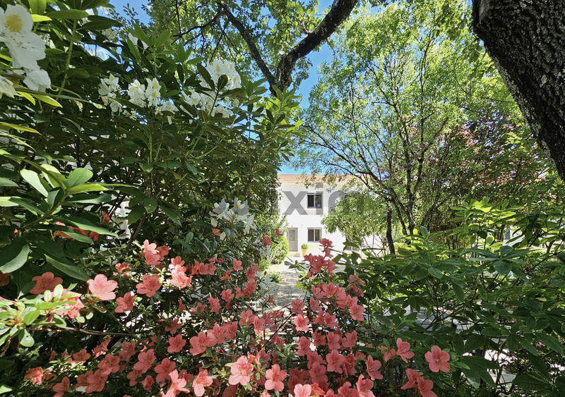 Maison - 205 m² - 6 pièces