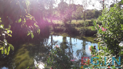 Maison - 220 m² - 9 pièces