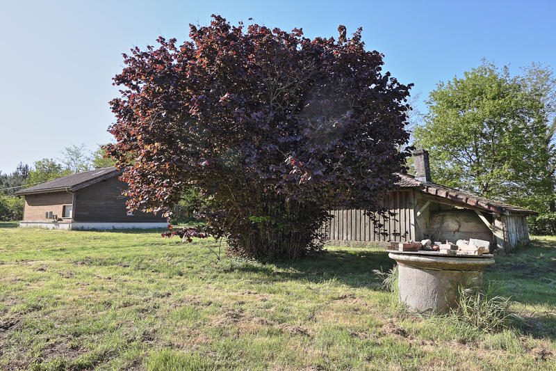 Propriété - 317 m² - 10 pièces