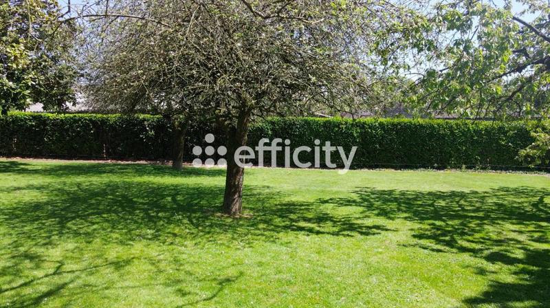 Maison de domaine équestre - 165 m² - 8 pièces