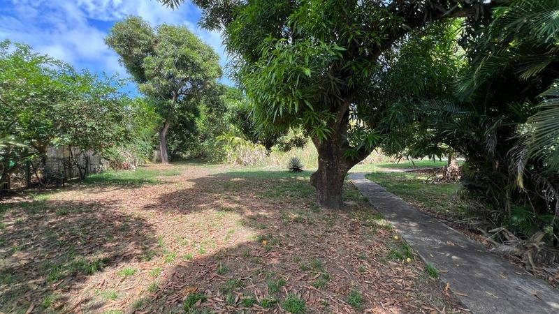 Appartement bourgeois - 48 m² - 2 pièces