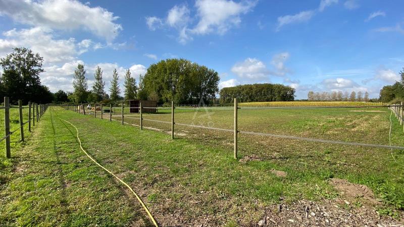 Maison - 275 m² - 8 pièces