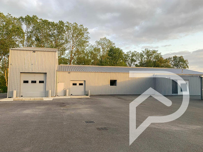 Local d'activité / Entrepôt - 590 m²