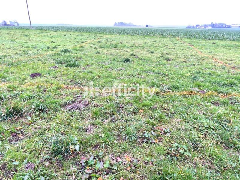 Bureau - 53 m² - 2 pièces