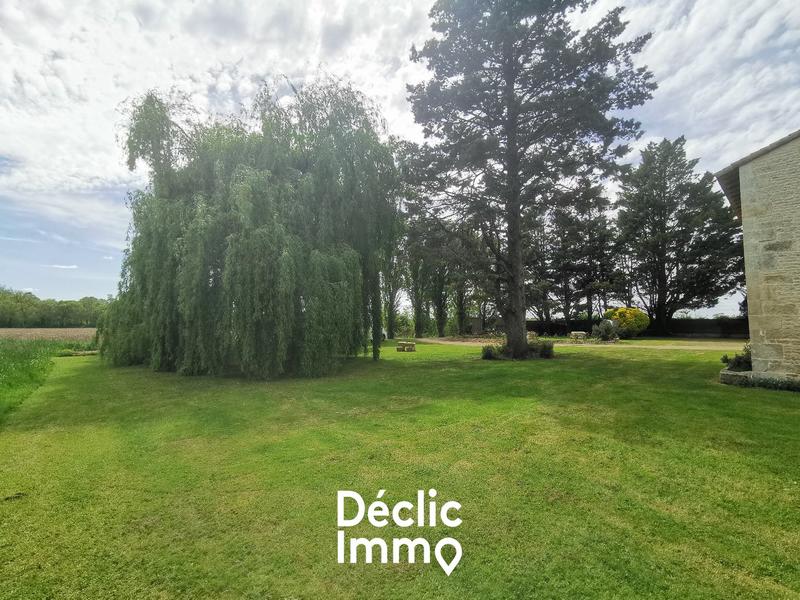 Maison en pierre - 141 m² - 6 pièces