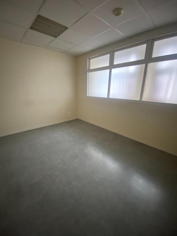 Bureau - 239 m² - 7 pièces