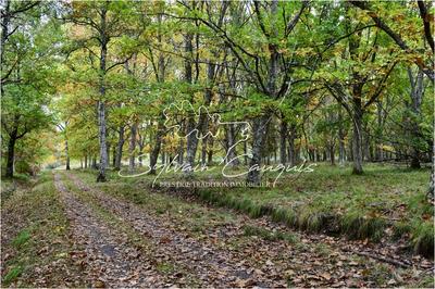 Propriété - 1 060 m² - 16 pièces