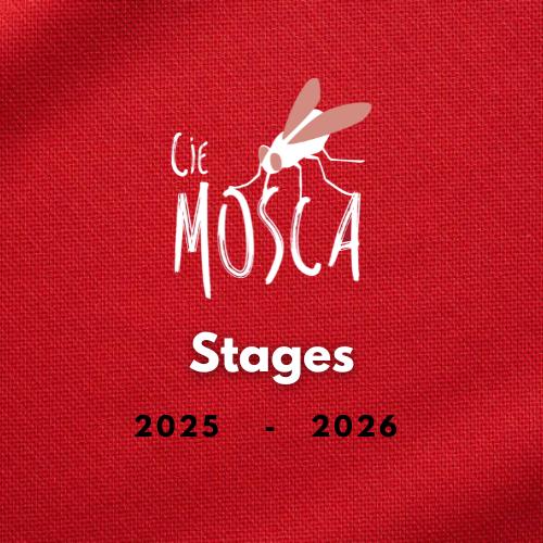 Stages : &quot;Ecriture&quot;, &quot;Jeu masqué initiation&quot;, &quot;Chant et jeu vocal&quot;, &quot;Jeu masqué approfondissement&quot;