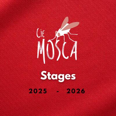 Stages : &quot;Ecriture&quot;, &quot;Jeu masqué initiation&quot;, &quot;Chant et jeu vocal&quot;, &quot;Jeu masqué approfondissement&quot;