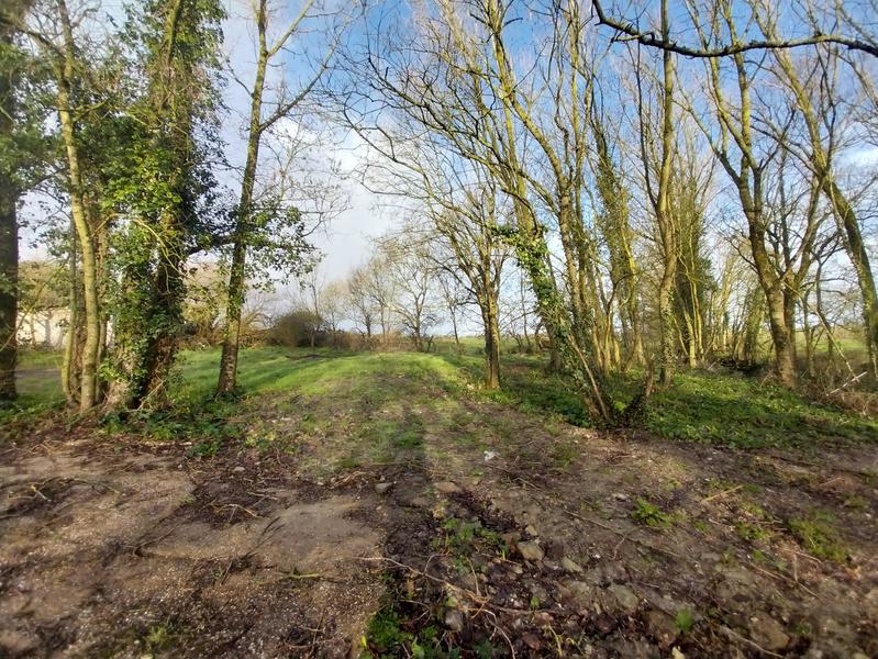 Corps de ferme - 67 m² - 3 pièces