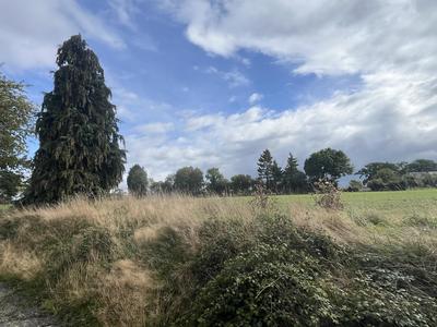 Maison traditionnelle - 75 m² - 5 pièces