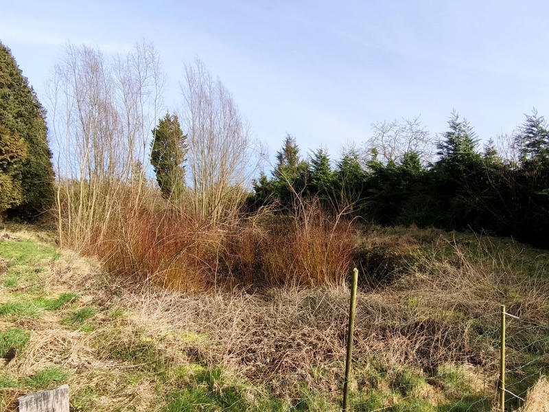 Maison - 91 m² - 5 pièces