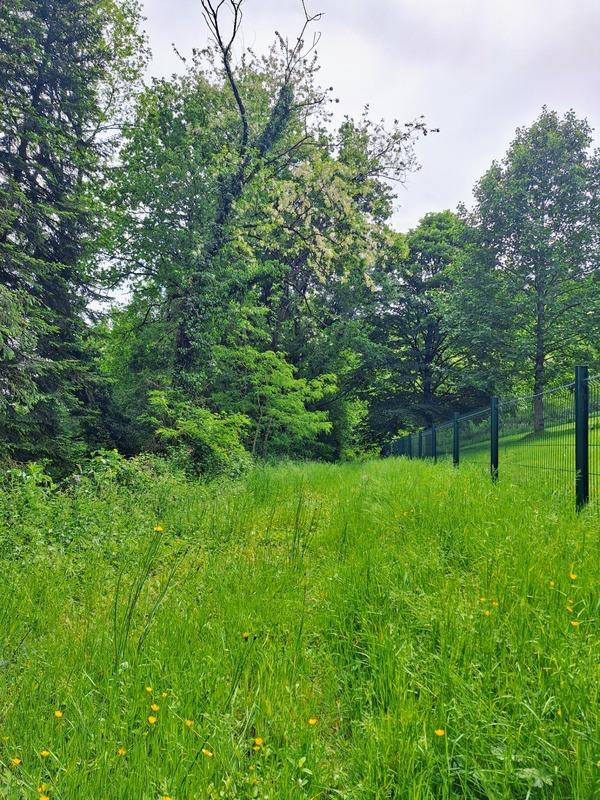 Terrain constructible - 1 277 m²