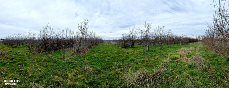 Terrain agricole - 120 000 m²