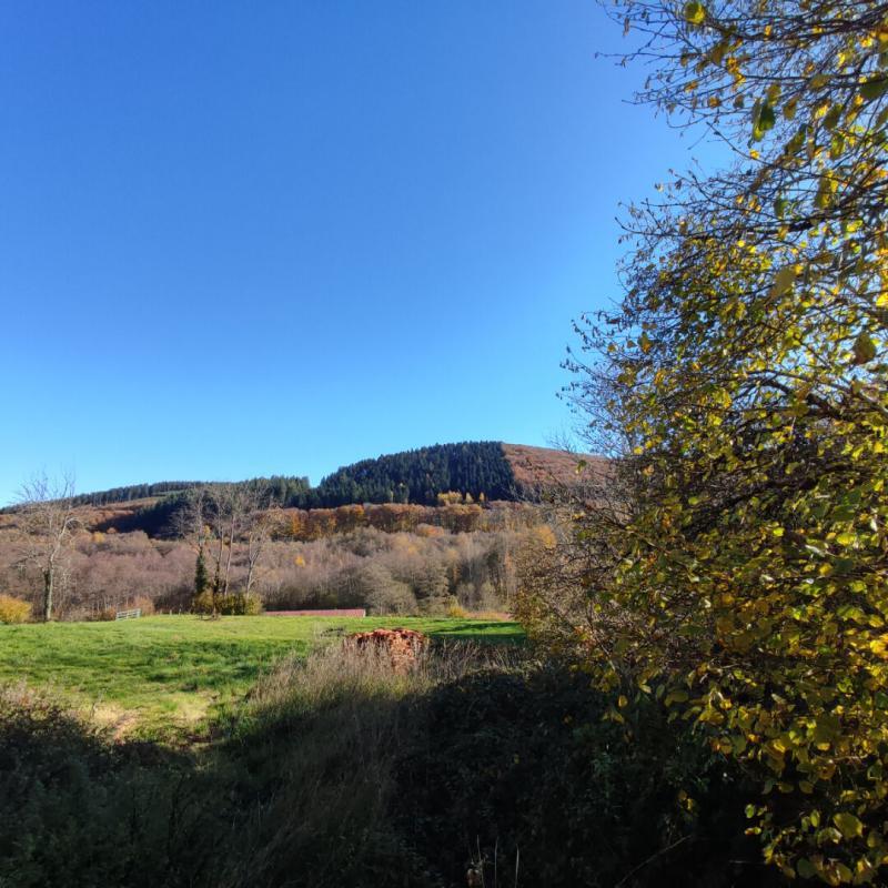 Maison - 71 m² - 2 pièces