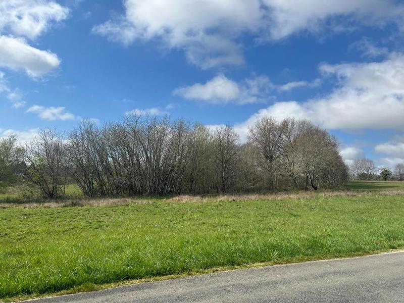 Terrain constructible - 2 543 m²