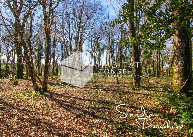 Maison - 355 m² - 7 pièces