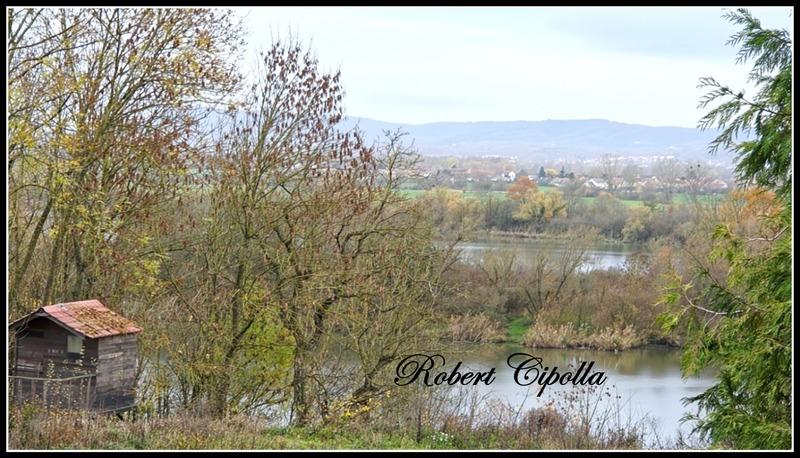 Appartement - 103 m² - 4 pièces