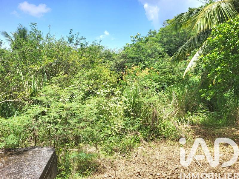 Maison - 65 m² - 4 pièces