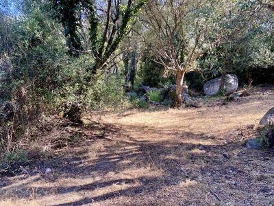 Terrain constructible - 7 644 m²