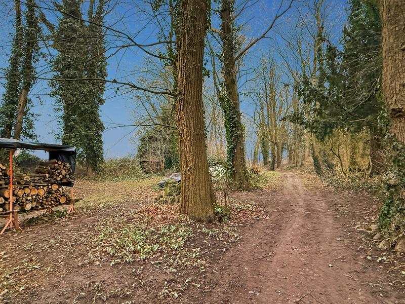 Maison bourgeoise - 289 m² - 13 pièces