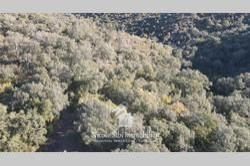 Terrain - 81 150 m²