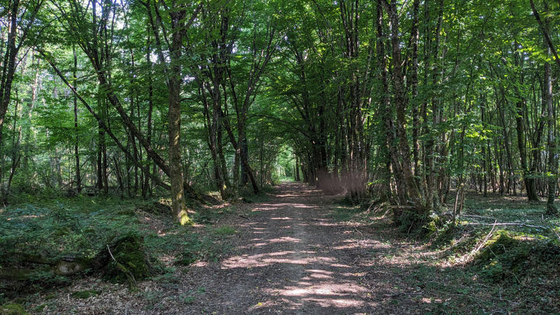 Terrain - 45 170 m²