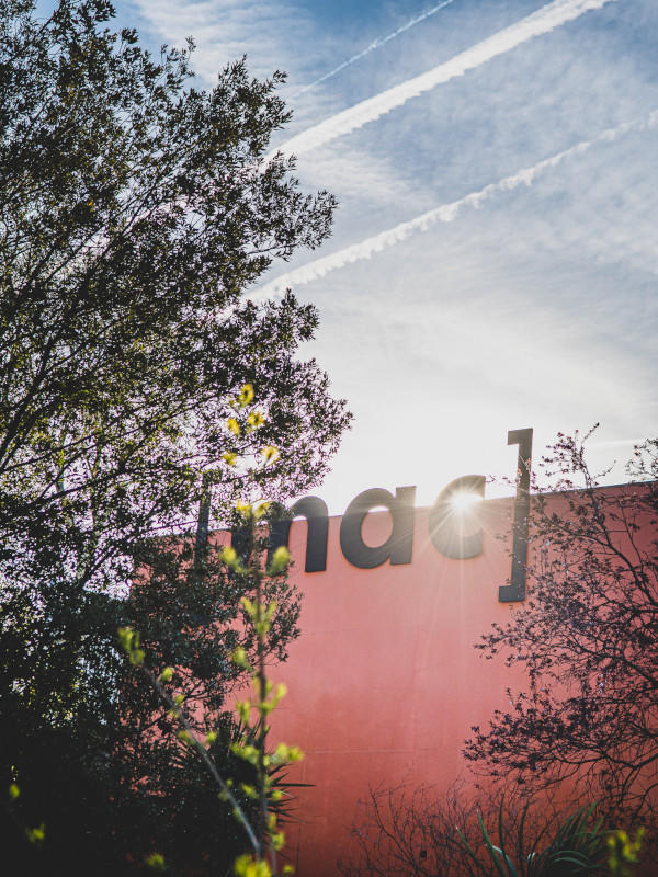 Visites dialoguées dans l’exposition les Veilleurs d’Ali Cherri