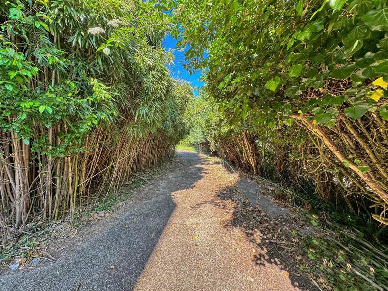 Maison - 203 m² - 7 pièces