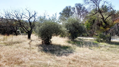 Terrain - 721 m²