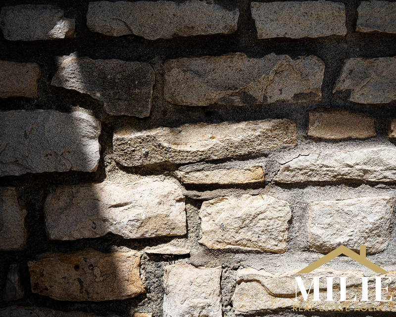 Villa - 350 m² - 8 pièces