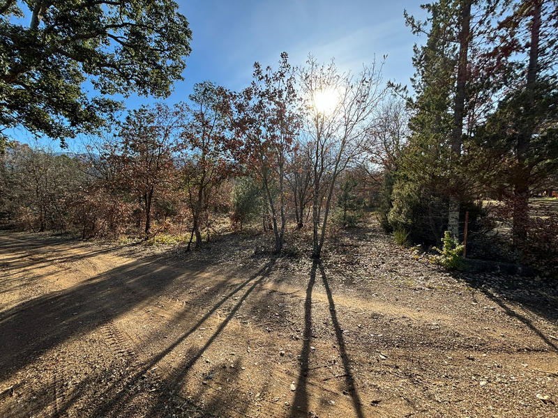 Terrain de loisirs - 10 100 m²