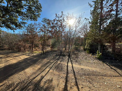 Terrain de loisirs - 10 100 m²