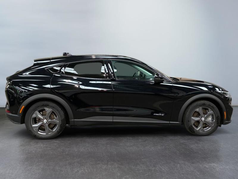 Ford Mustang Mach-E Standard Range 76 kWh 269 ch