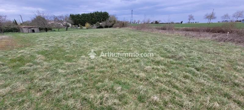Terrain - 4 979 m²