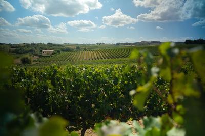 Terrain agricole - 360 000 m²