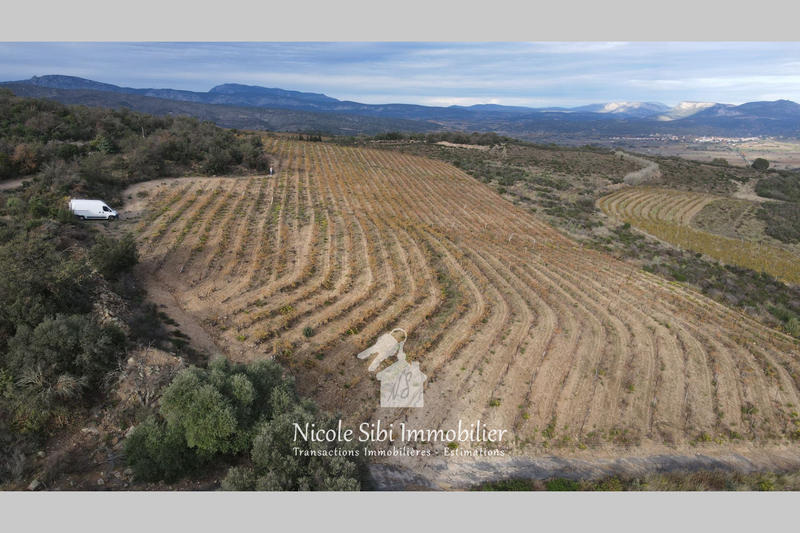 Terrain agricole - 28 875 m²