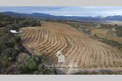 Terrain agricole - 28 875 m²