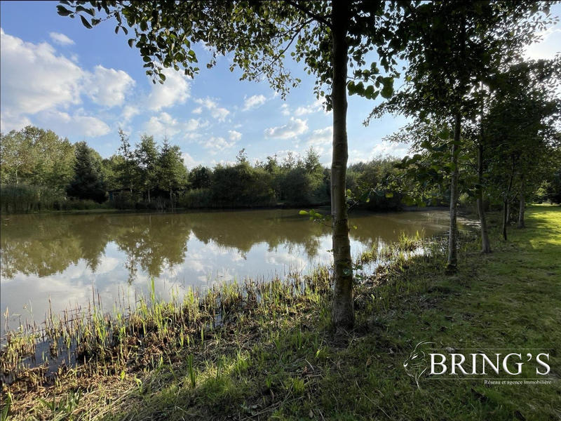 Terrain de loisirs - 47 800 m²