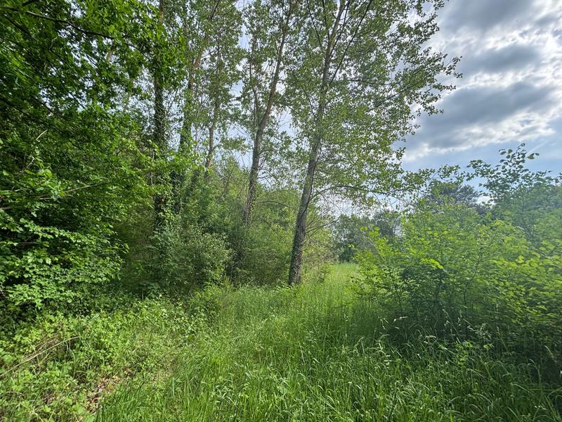 Terrain de loisirs - 129 172 m²