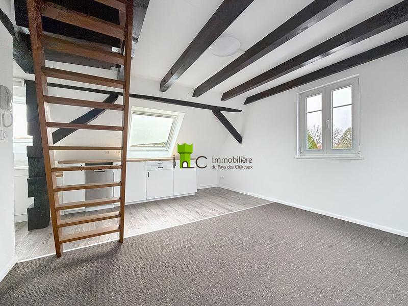 Appartement - 19 m² - 1 pièce