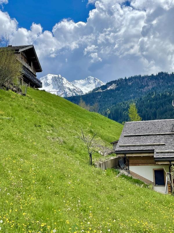 Terrain constructible - 982 m²