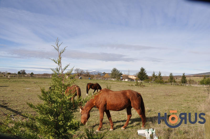 Viager - Maison - 400 m² - 14 pièces