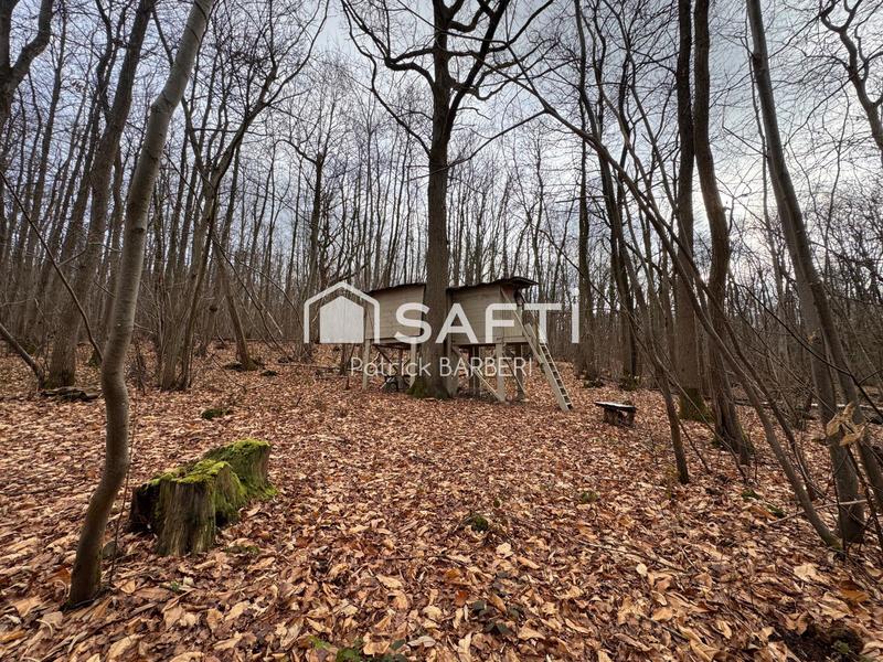 Terrain - 58 000 m²