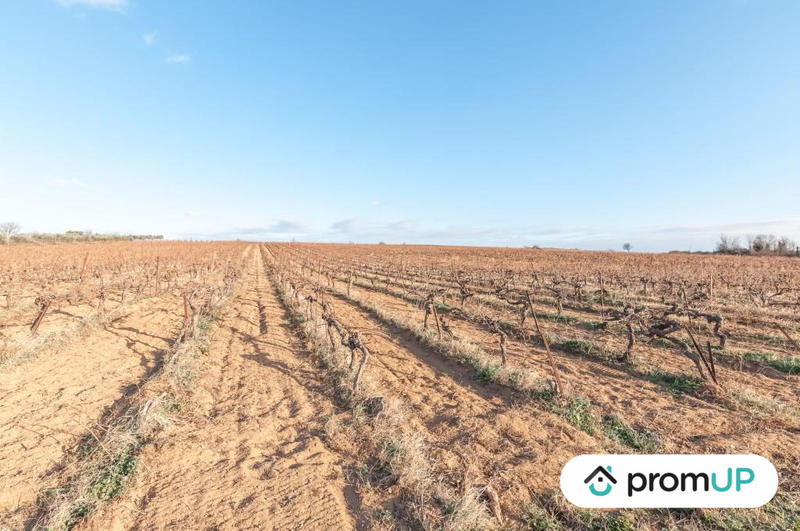 Terrain agricole - 57 000 m²