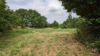 Terrain - 3 425 m²
