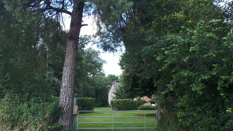 Propriété - 335 m² - 12 pièces