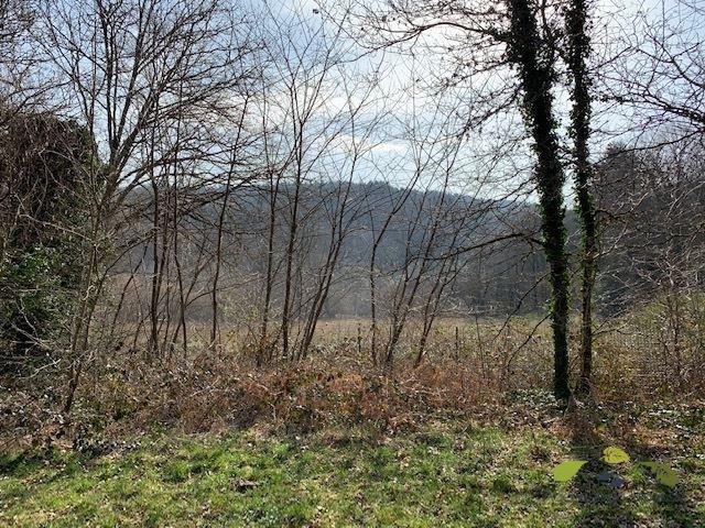 Terrain constructible - 3 961 m²